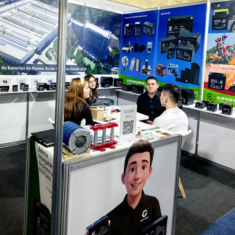 Lead-Acid Battery CDMX